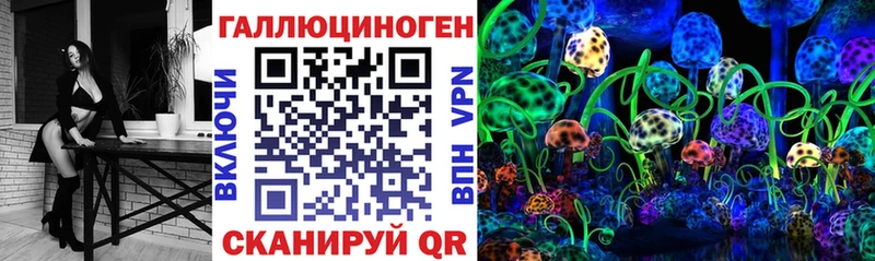 закладка  Красный Кут  Галлюциногенные грибы Psilocybe 
