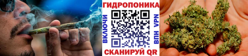 Каннабис MAZAR Красный Кут